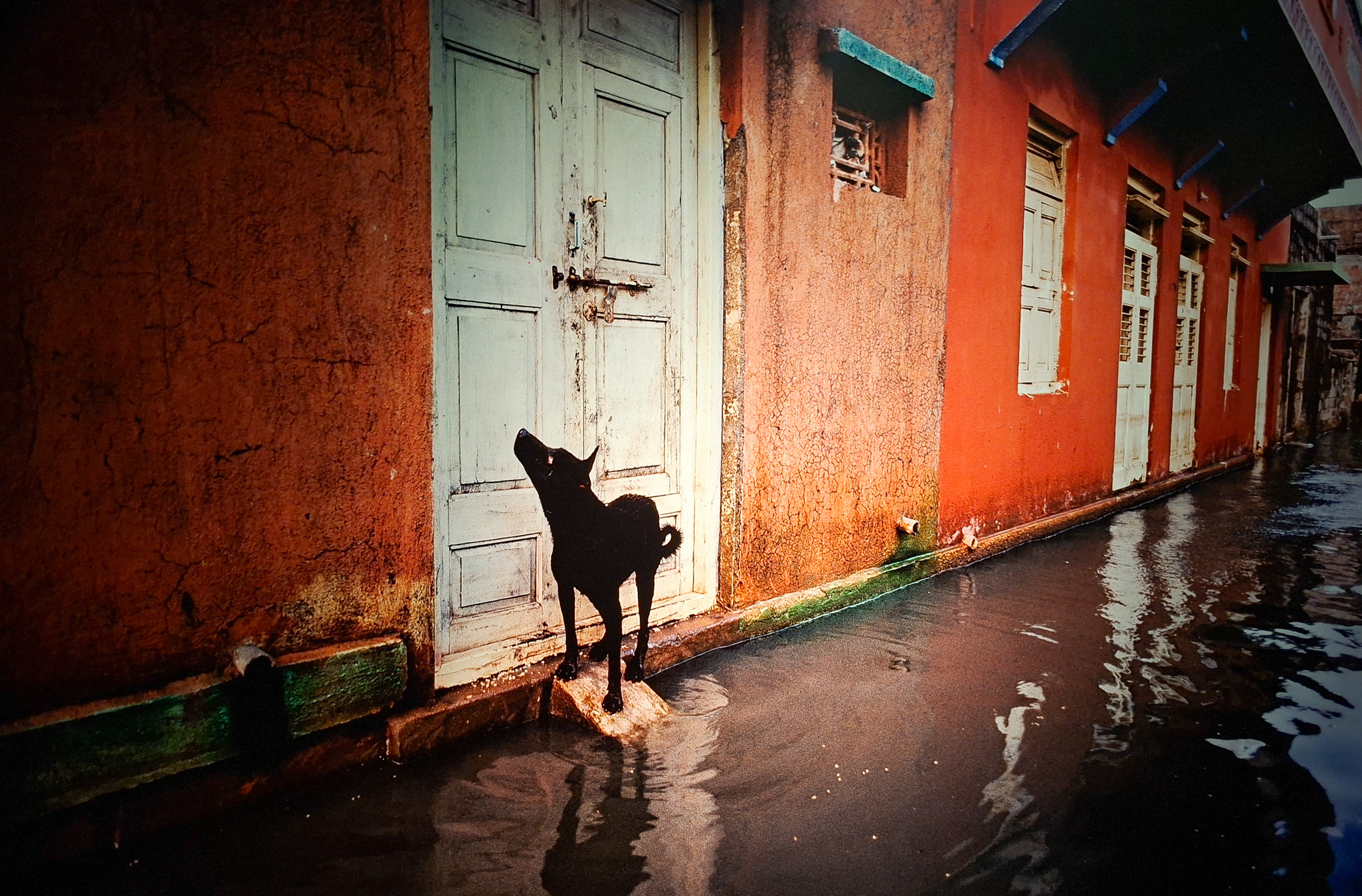 Móvil 20260613 Steve McCurry 117